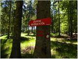 Koča na Klopnem vrhu - Posestvo Šumik